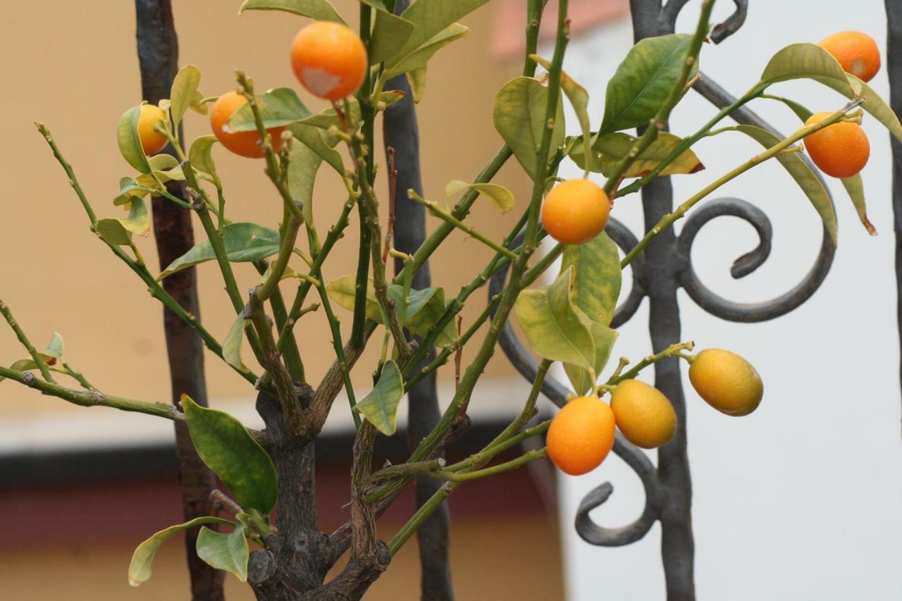 Casa Vacanze Aloha Giardini Naxos Εξωτερικό φωτογραφία