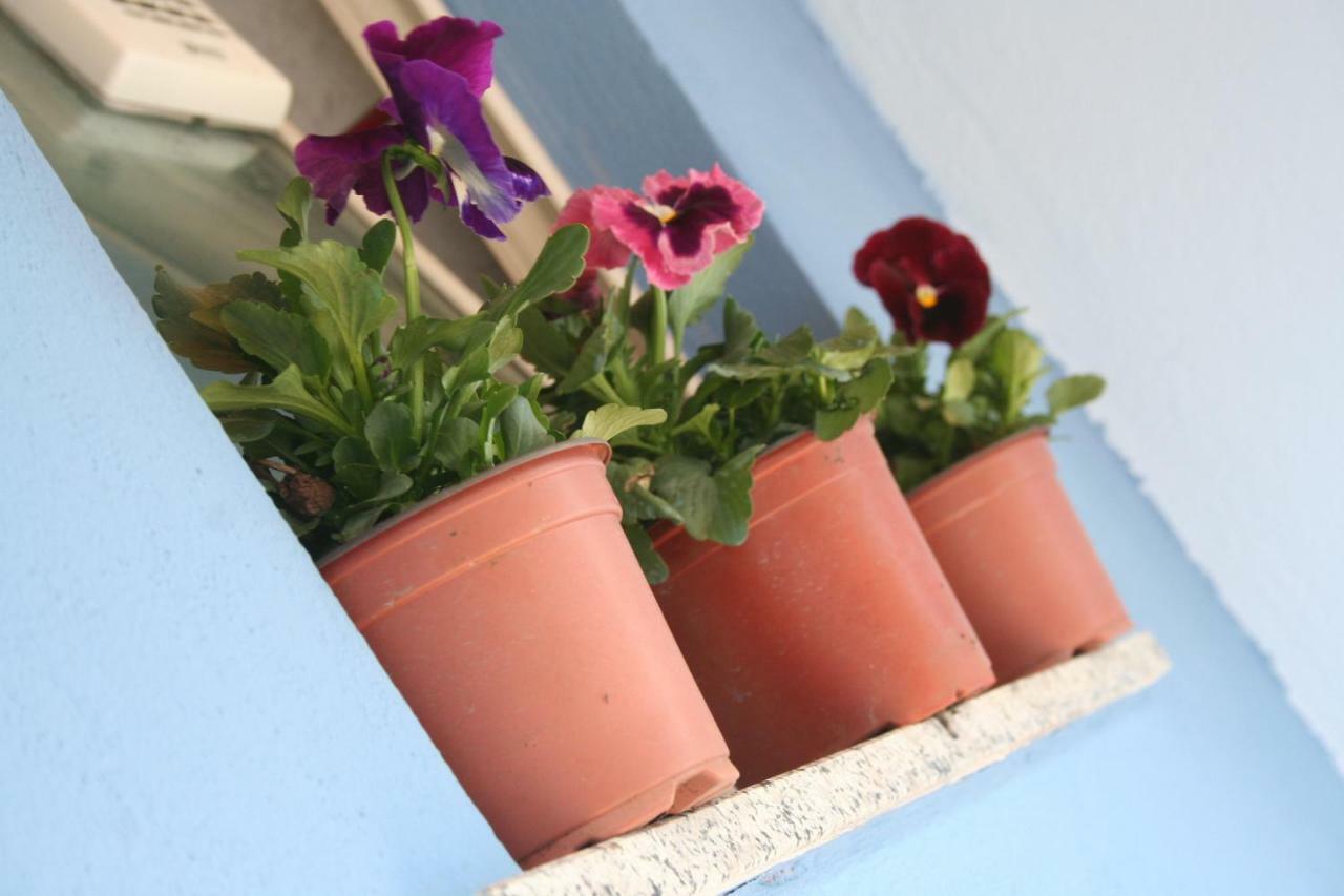 Casa Vacanze Aloha Giardini Naxos Εξωτερικό φωτογραφία